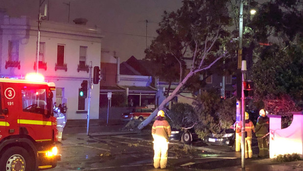 The wild weather brought a tree down on the corner of Spencer and Hawke streets in Melbourne's north.