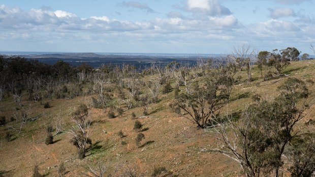 Nardoo Hills, in northern Victoria. 