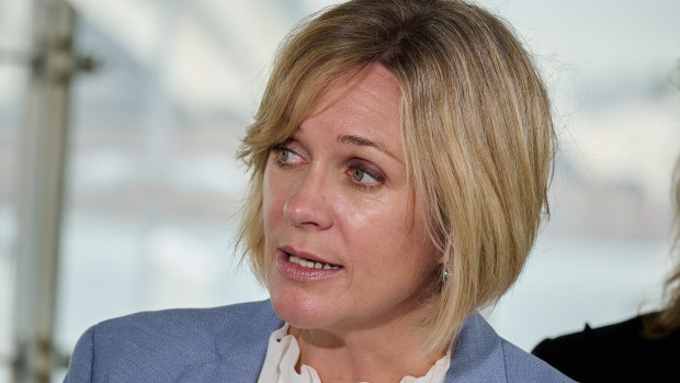 Zali Steggall says the controversial industrial reforms are an attempt to unionise workplaces.