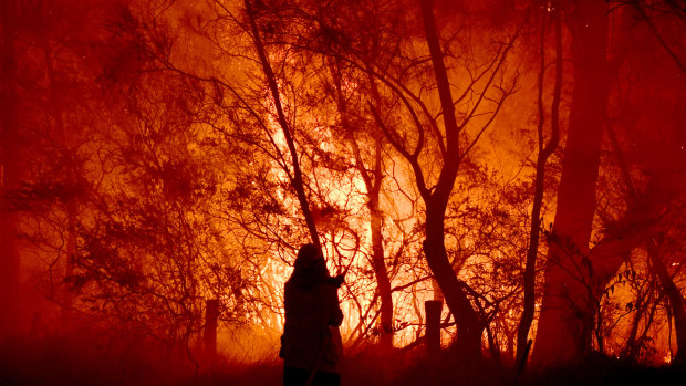 Firefighters fight a bushfire on the south coast earlier this week.