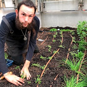 Tristan Seal, pictured planting a Chef’s Kitchen Garden at Brookfield Place in the Perth CBD, has been a GWR Employee since 2015 and was its first employee from Work For Dole. He was previously long-term unemployed. 

