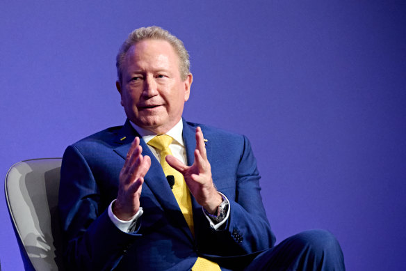 Fortescue Metals Group chairman Andrew Forrest.