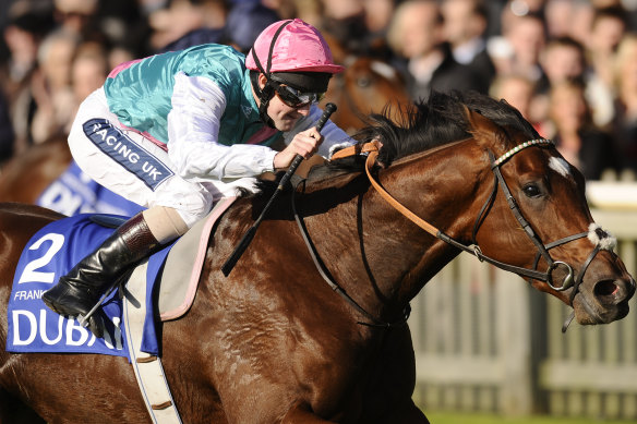 The modest Canterbury contest has echoes of the 2010 Newmarket maiden where British champion Frankel announced himself with a narrow victory over fellow star Nathaniel.