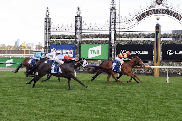 Still A Star takes out the Rose Of Kingston Stakes.