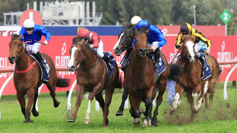 Race-by-race preview and tips for Rosehill on Saturday