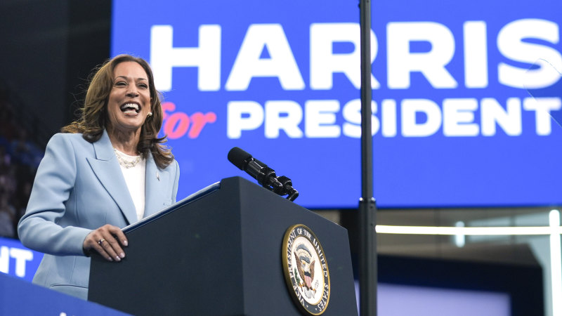 ‘The mistake becomes magnified’: How it could quickly go wrong for Kamala Harris