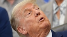 Trump claimed a deal would involve the Strait of Hormuz being reopened to international shipping traffic.
