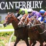 Race-by-race tips and preview for Canterbury on Wednesday