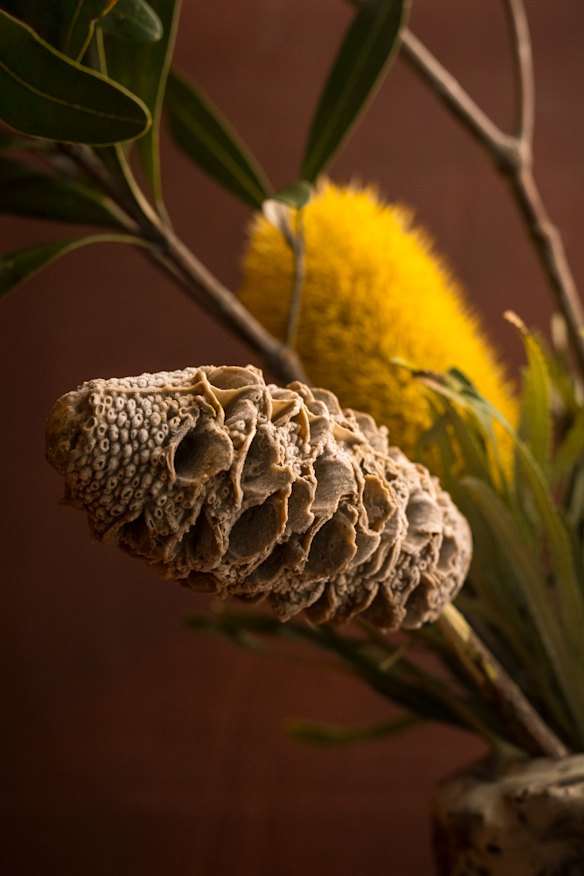 A sobremesa Banksia Pop em Yiaga. 