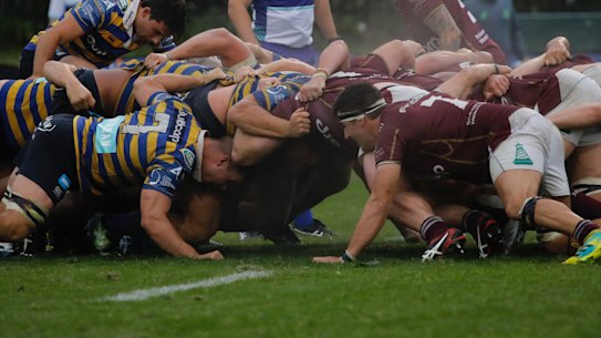 A second Sydney University first grade player has contracted COVID-19. 