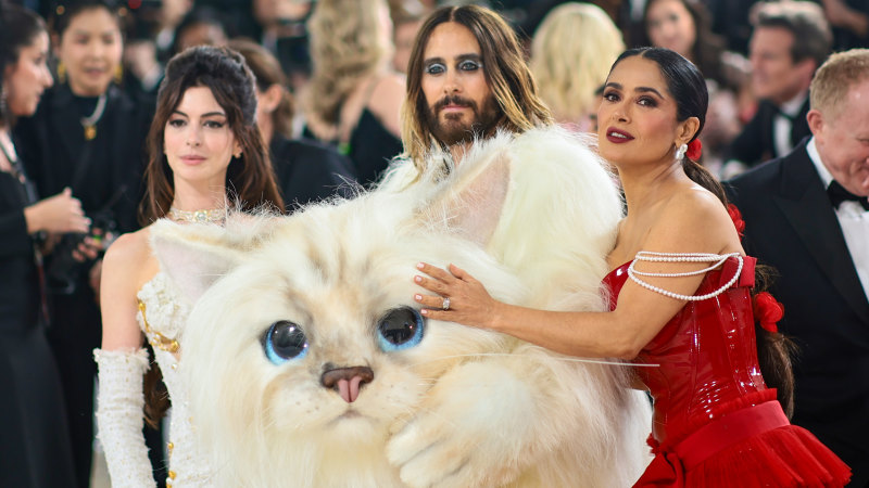 Celebs embody Karl Lagerfeld's cat Choupette for Met Gala 2023, Central  Western Daily