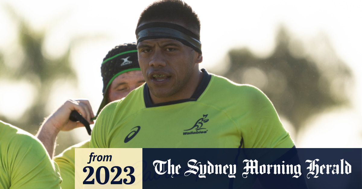 Wallabies say Springboks will be ‘world-class’ even if they field a second-string team