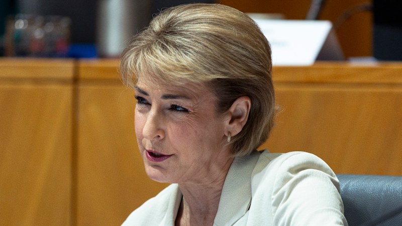 Senior Liberal insists One Nation is a ‘centre-right' party