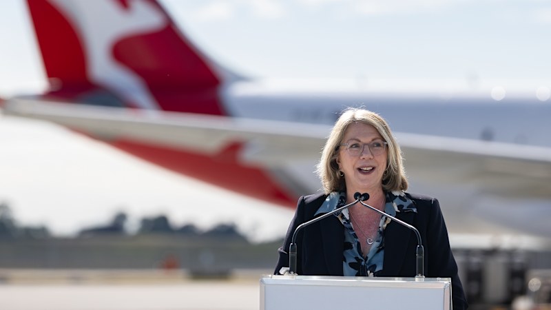 Transport minister given free Qantas platinum status for life