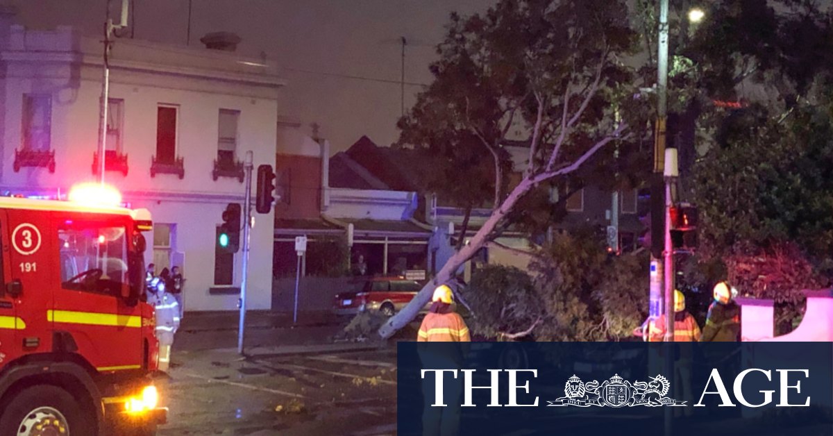 Wild Weather More Than 130 000 Homes Without Power Child Hit By Tree