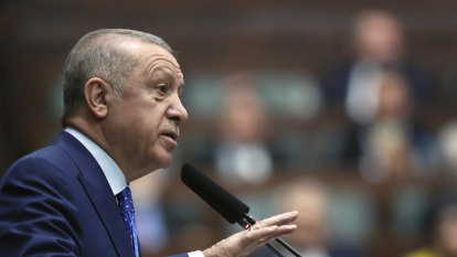 Not a bird but a nation: Turkey wants to be known as ‘Türkiye’