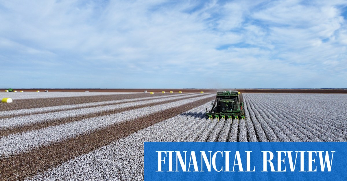 Chinese fabric exporter Jinsheng Textiles spends $120m on Gundaline cotton farm in NSW Riverina - Vimarsana News