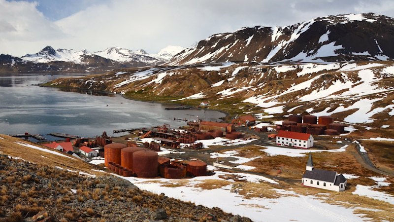 Article Highlights ‘Add-On’ Islands Known for Unique Ecology and Mortality