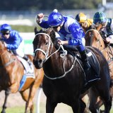 Close call: Winx charges home to claim a narrow win after missing the start in last year's Warwick Stakes.