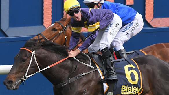 Brutal takes Saturday's Premiere Stakes to open the door to The Everest.