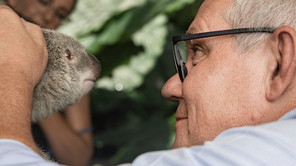 Scott Morrison gets close and personal with a local at a wildlife park while in Cairns to announce a tourism package.