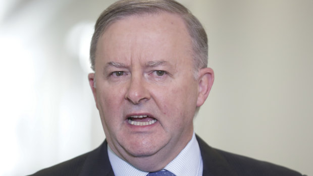 Opposition leader Anthony Albanese says the changes will bring real cultural change to NSW Labor