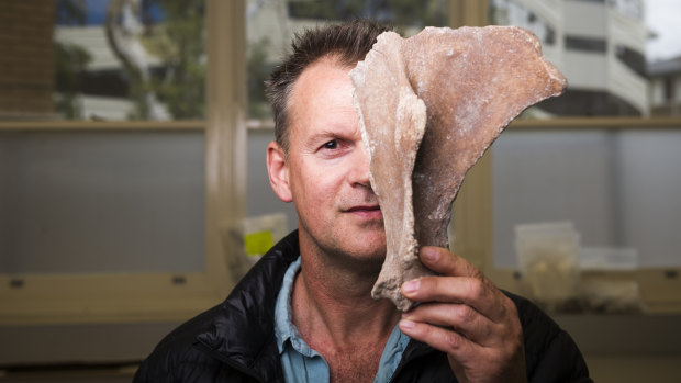 Associate professor at ANU Geoff Clark was part of the team that analysed bones from Madagascar. 