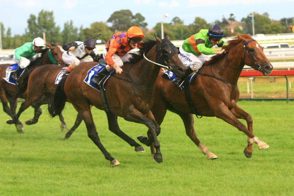 Strikeline (right) racing at Caulfield in 2006. 