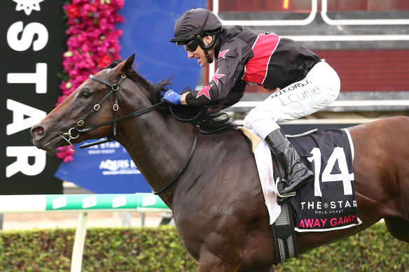Magic Millions winner Away Game will contest Saturday's Widden Stakes, the opener on a nine-race Randwick card.