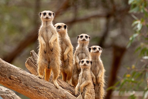 Meet your fellow guests.