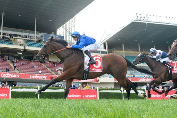 Pereille winning at Moonee Valley in  January last year.