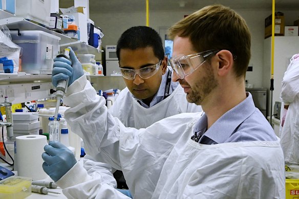 University of Sydney professor of cardiology Sean Lal, left, and lead of translational research at the Baird Institute Dr Robert Hume in the Charles Perkins Centre lab.