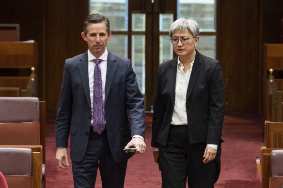Opposition foreign affairs spokesman Simon Birmingham and Minister for Foreign Affairs Penny Wong in Parliament House. 