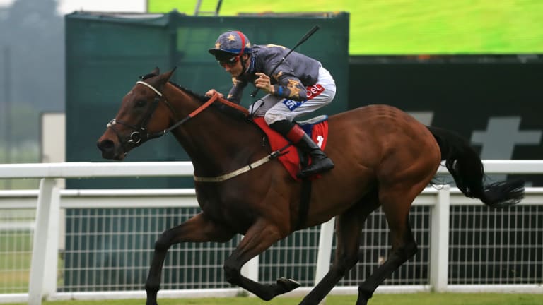Right moves: Melbourne Cup hope Magic Circle wins at Sandown in England earlier in the year.