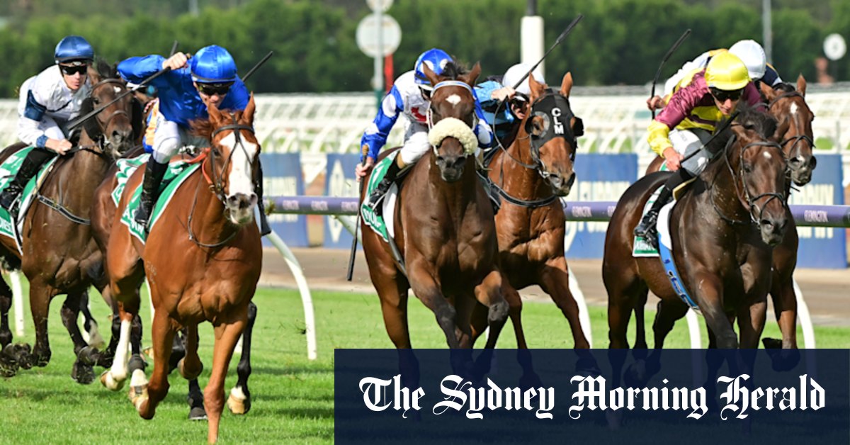 Melbourne Cup Perth: Do you leave your event plans until the home straight? Here's how to pick a winner - Vimarsana News