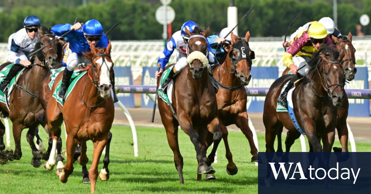 Melbourne Cup Perth Do you leave your event plans until the home