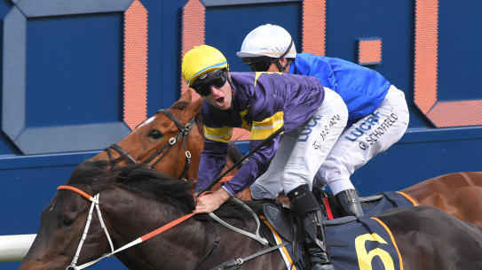 Brutal takes Saturday's Premiere Stakes to open the door to The Everest.