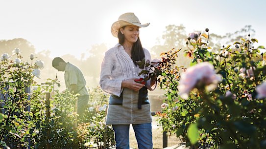 Danielle White on her Victorian 
flower farm.