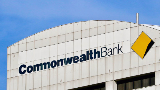 Commonwealth Bank is teaming up with venture capitalists including Seek co-founder Paul Bassat, as the banking giant raises its bets on start-ups targeting the burgeoning financial technology sector.