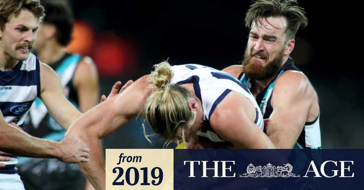 Power And Their Passion Outlast Cats