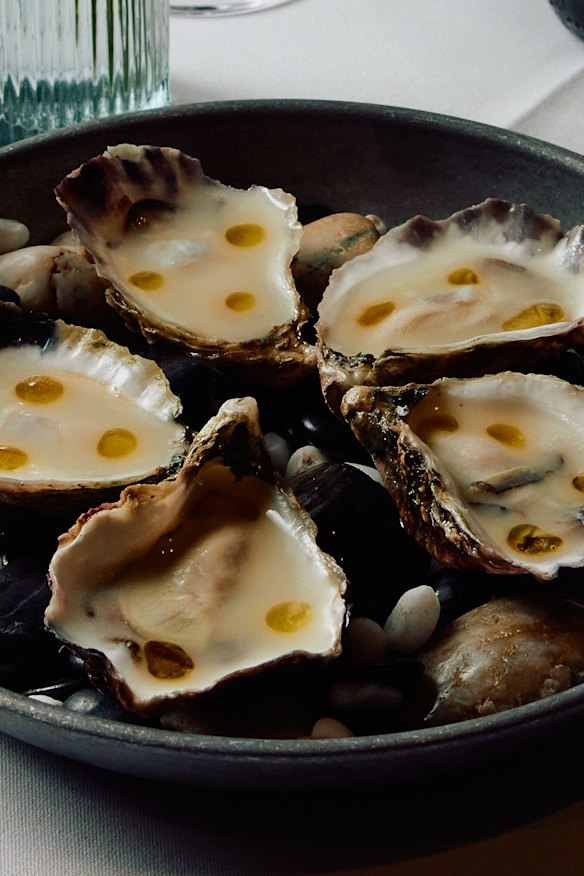 Purple Pit oysters.