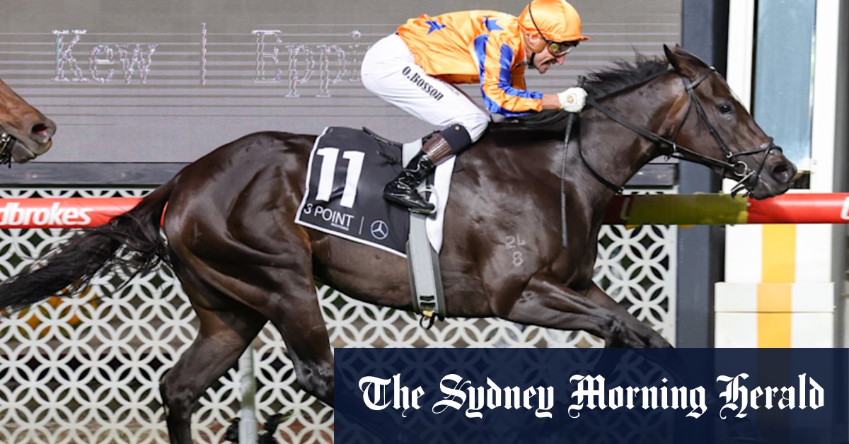 Racing 2024: Yulong splashes record $6.6 million on champion broodmare Imperatriz - Vimarsana News