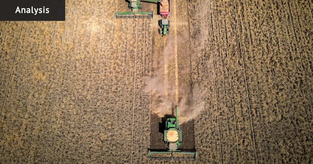 How the Iran war will hit your petrol tank, your overseas holiday – even your morning toast