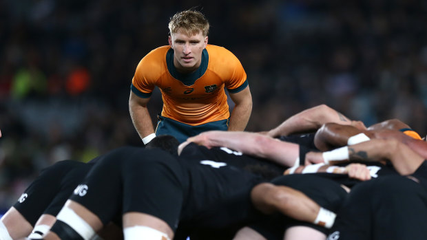 How Wallabies turned All Blacks’ snub to their advantage after ‘embarrassing’ loss