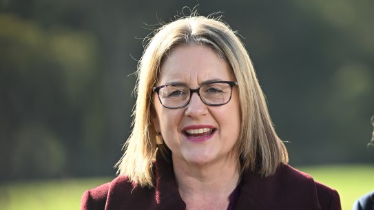 Premier Jacinta Allan speaking to reporters in May.