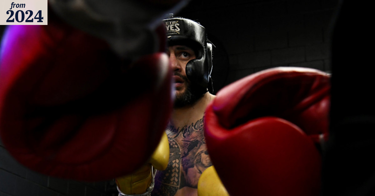 ‘When things scare me, I just run at them’: Uncaged Pedro shapes up for ...