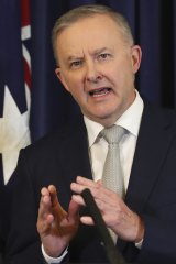 Anthony Albanese is warning voters not to get sucked into a â€œnonsenseâ€ debate about choice and mandates.