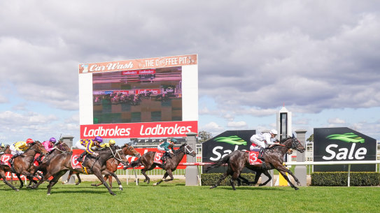 Ladbrokes owner Entain will begin advertising in NSW pubs.