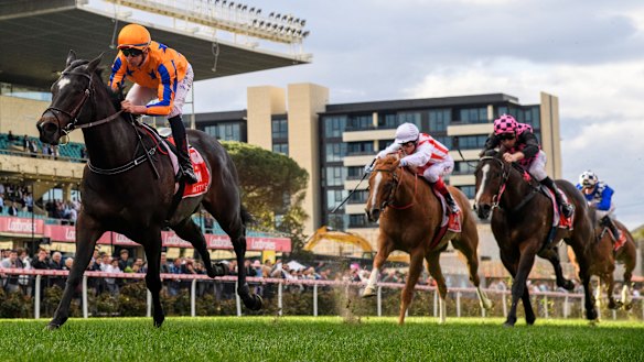 Imperatriz is arguably the best sprinter in Australasia.