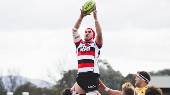 Darcy Swain was the Vikings' best forward this year.